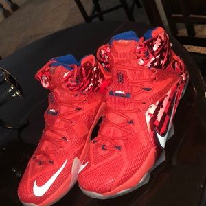 Nike Basketball Shoes | LeBron James 12 | Size 10